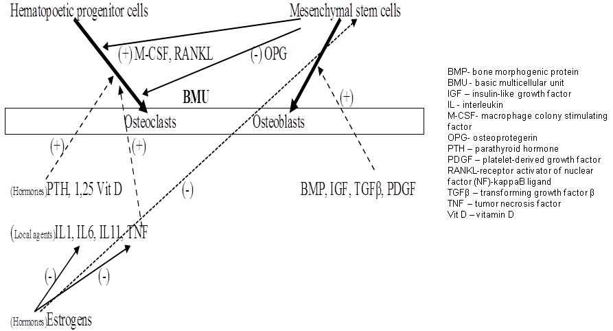 An external file that holds a picture, illustration, etc., usually as some form of binary object. The name of referred object is rmmj-3-2-e0013_Figure5.jpg